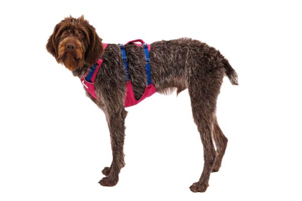 Ruffwear Flagline Harness Alpenglow Pink Gr. XXS Ruffwear Flagline Harness Alpenglow Pink Gr. XXS
